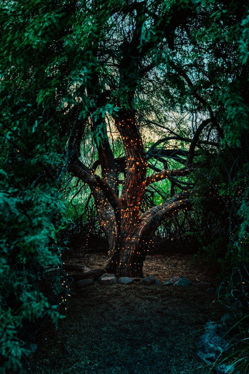 1000x1499 Magical Picture [HD]. Download .com