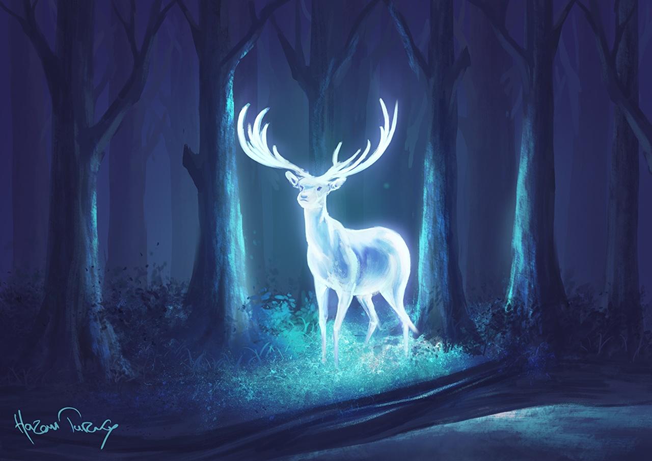 1280x905 Magical Wallpaper -