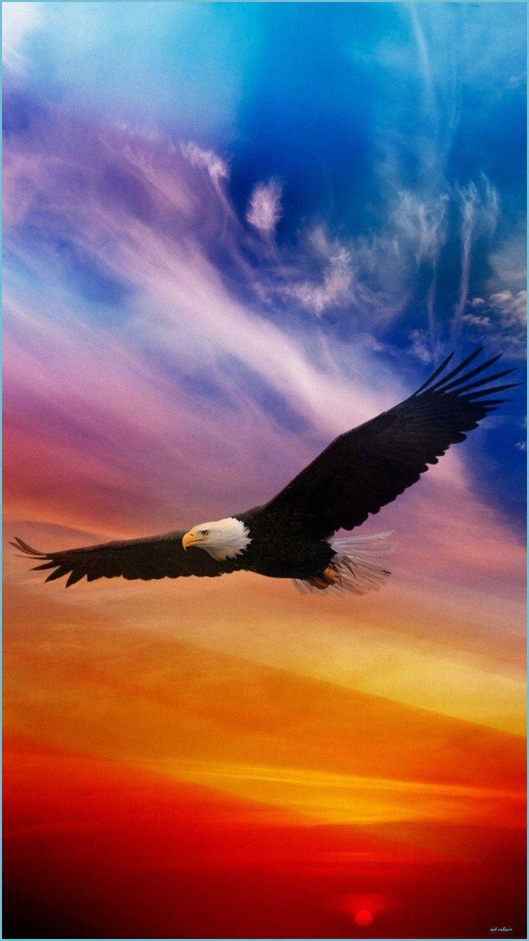1047x1862 Eagle Wallpaper iPhone HD in 14 Bald .