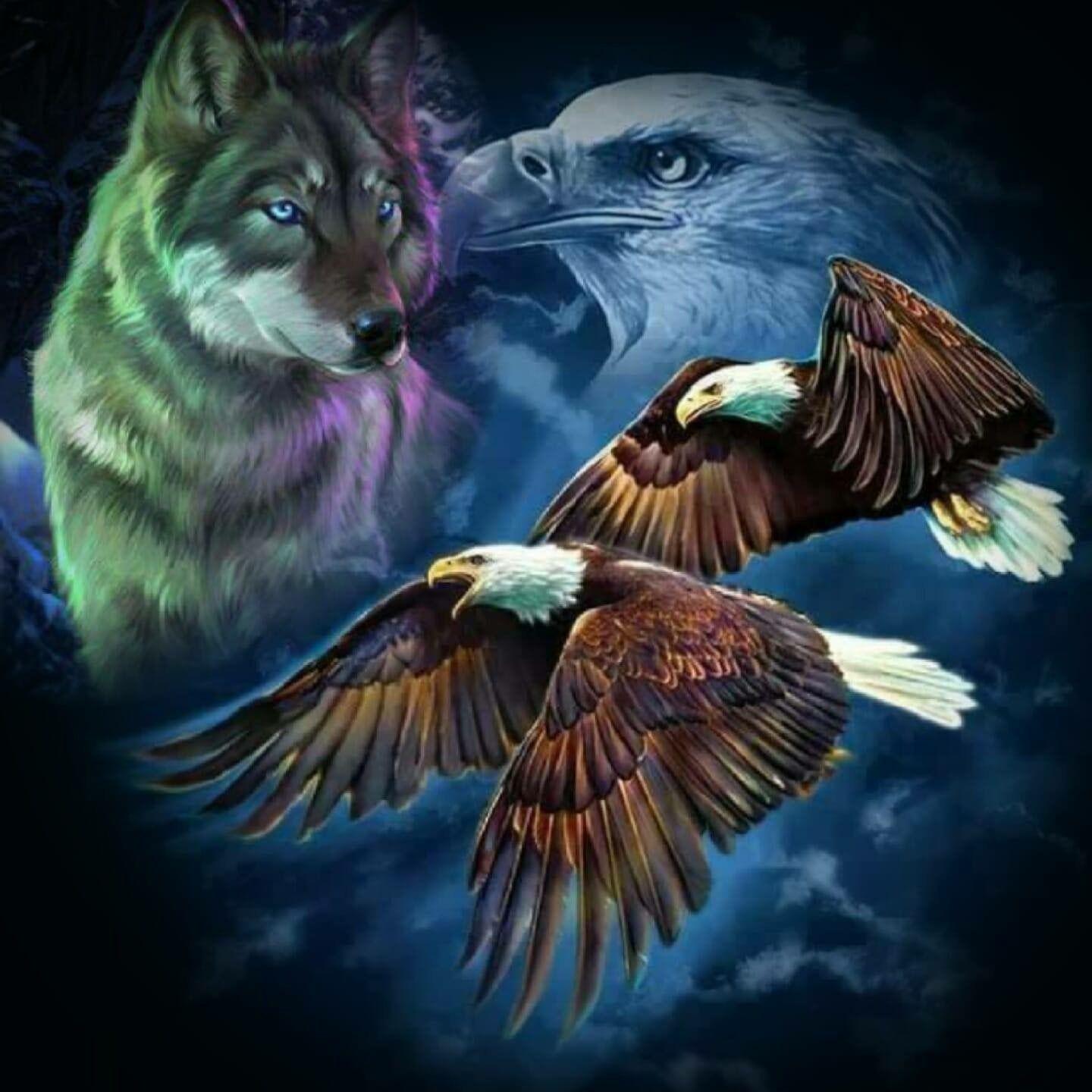 Eagle Vs Wolf