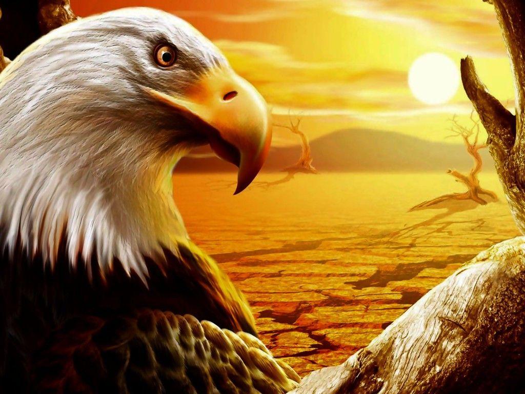 1024x768 Strange Eagle Wallpaper .itl.cat