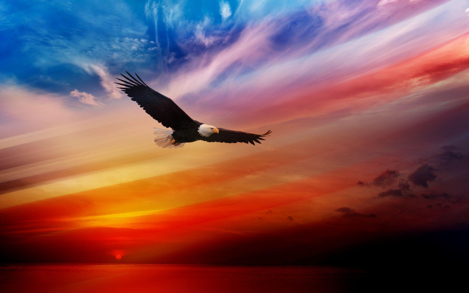 1920x1200 American Eagle