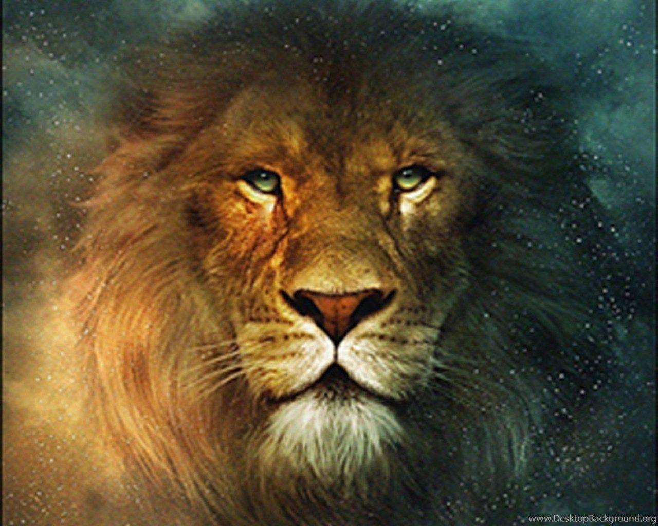 1280x1024 Cool Lion Wallpaperwallpaper.dog