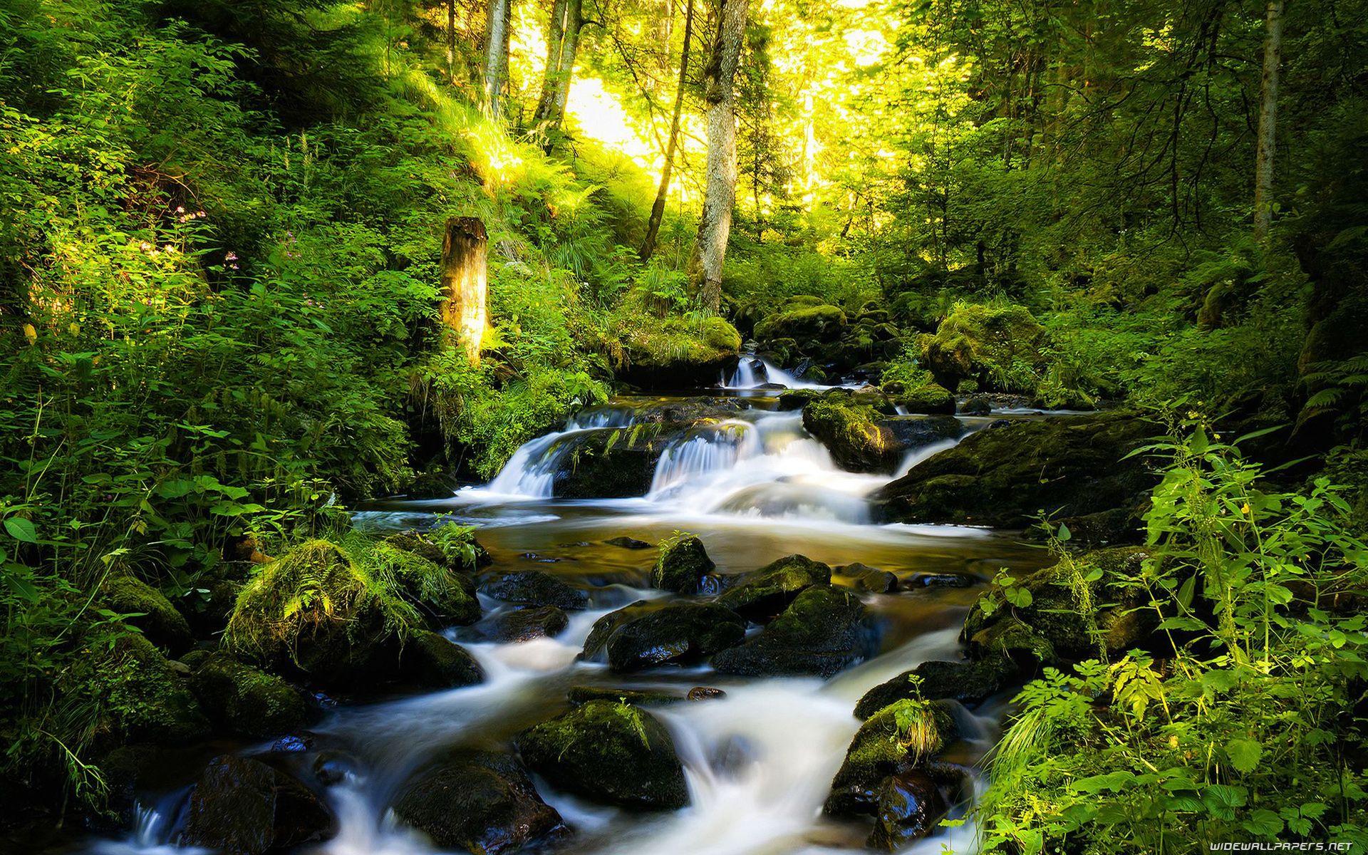1920x1200 Waterfall Image Wallpaper Widescreen Desktop