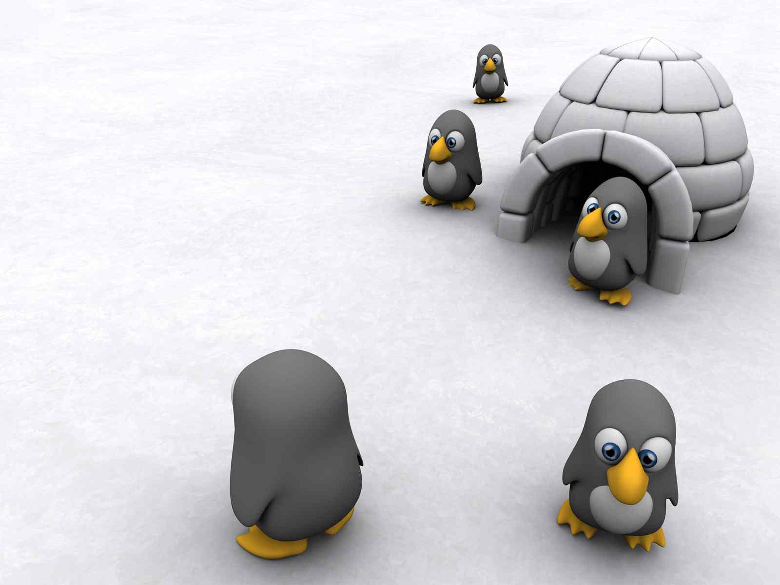 1600x1200 Penguin Wallpaperhd