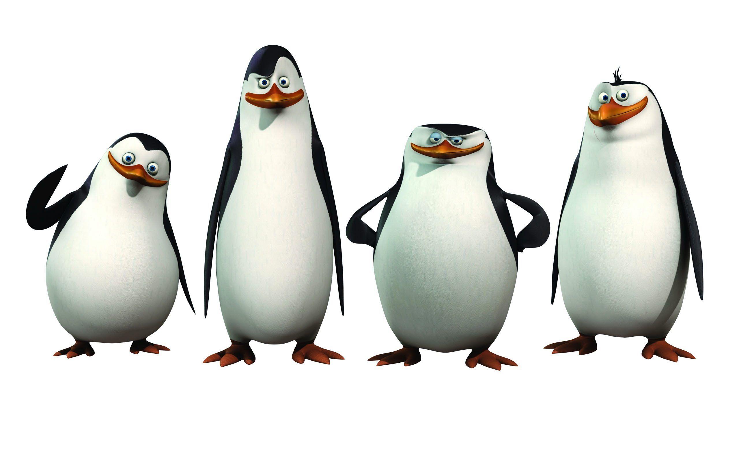 2560x1600 PENGUINS OF MADAGASCAR animation comedy .