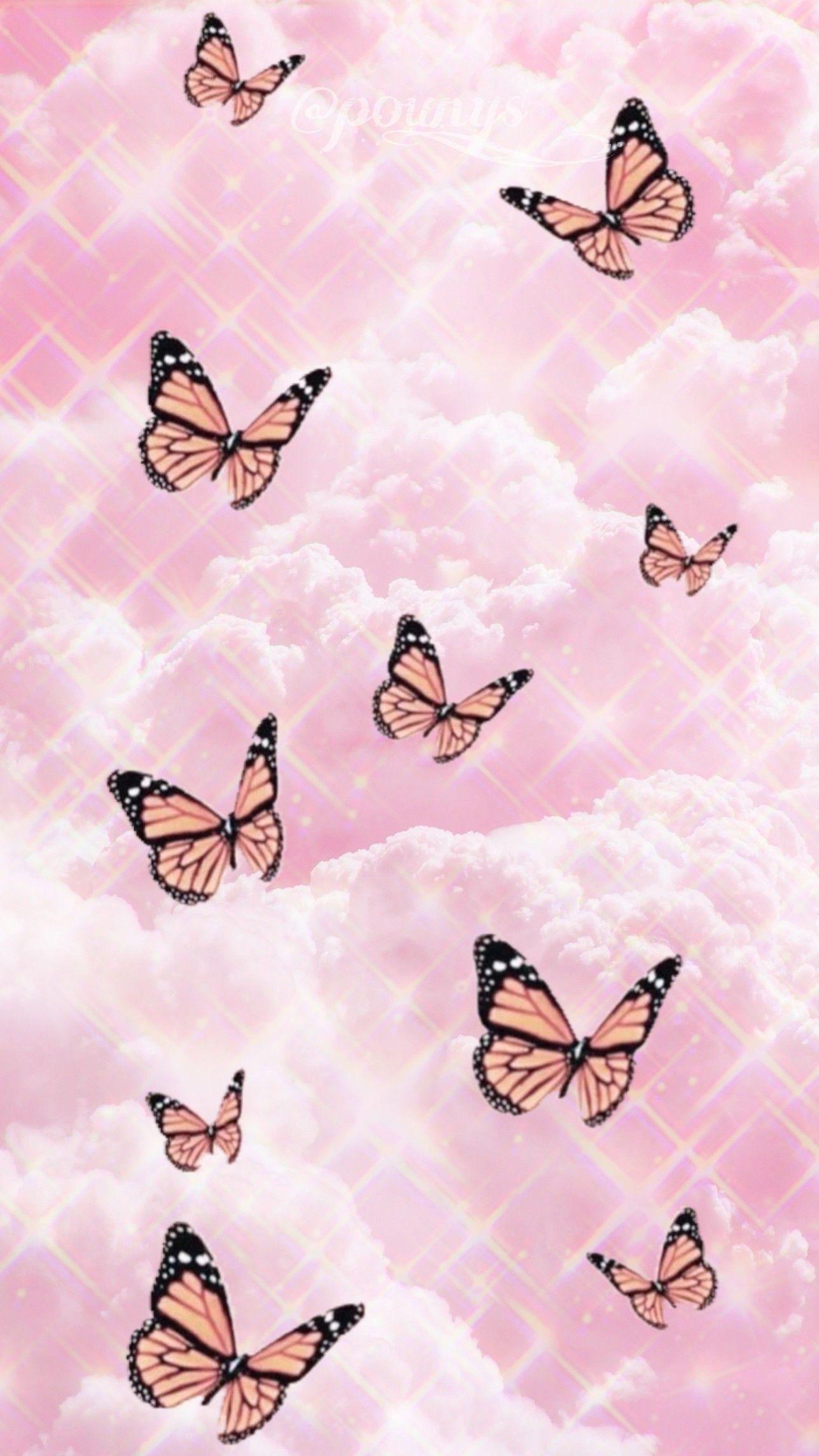 Tổng hợp 1000 Pink background butterfly Dễ thương và Nghệ thuật, tải ...