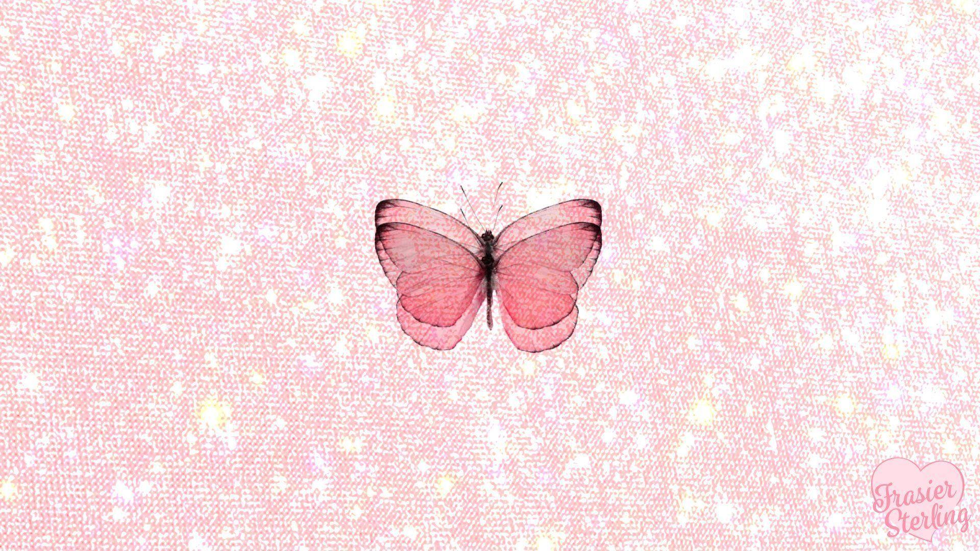Pink Butterfly Wallpaper 69 images