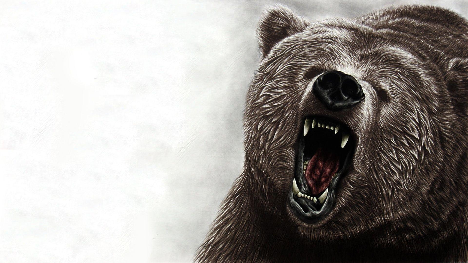 1920x1080 Gấu nghệ thuật, Hình nền gấu, Động vật