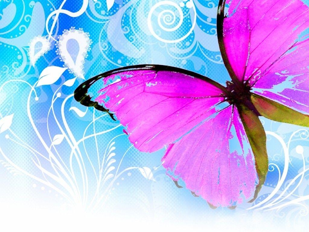 1024x768 Cute Butterfly Wallpaper on .