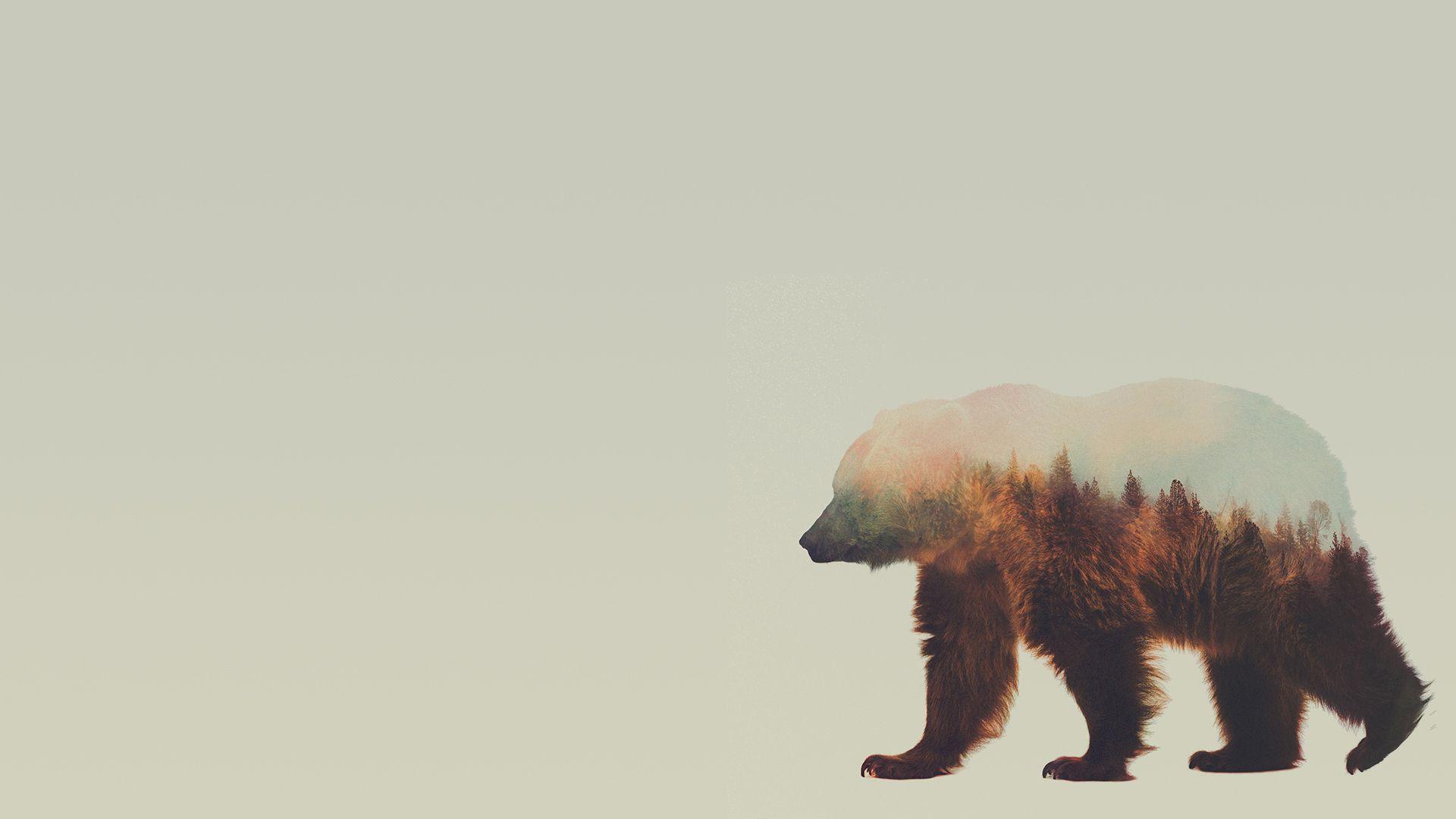 Hình nền nghệ thuật gấu 1920x1080.  Nghệ thuật gấu nâu