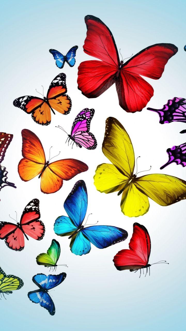 720x1280 Free Wallpaper For Samsung Galaxy S3 .wallpaper