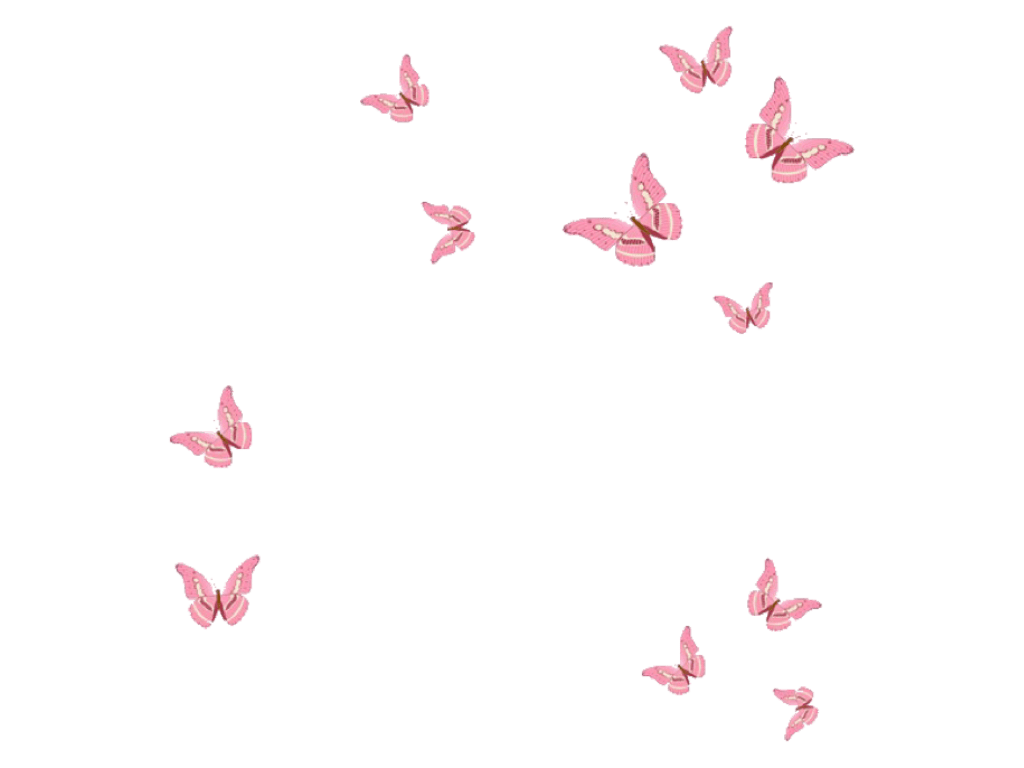 1024x768 Aesthetic Butterfly Wallpaper