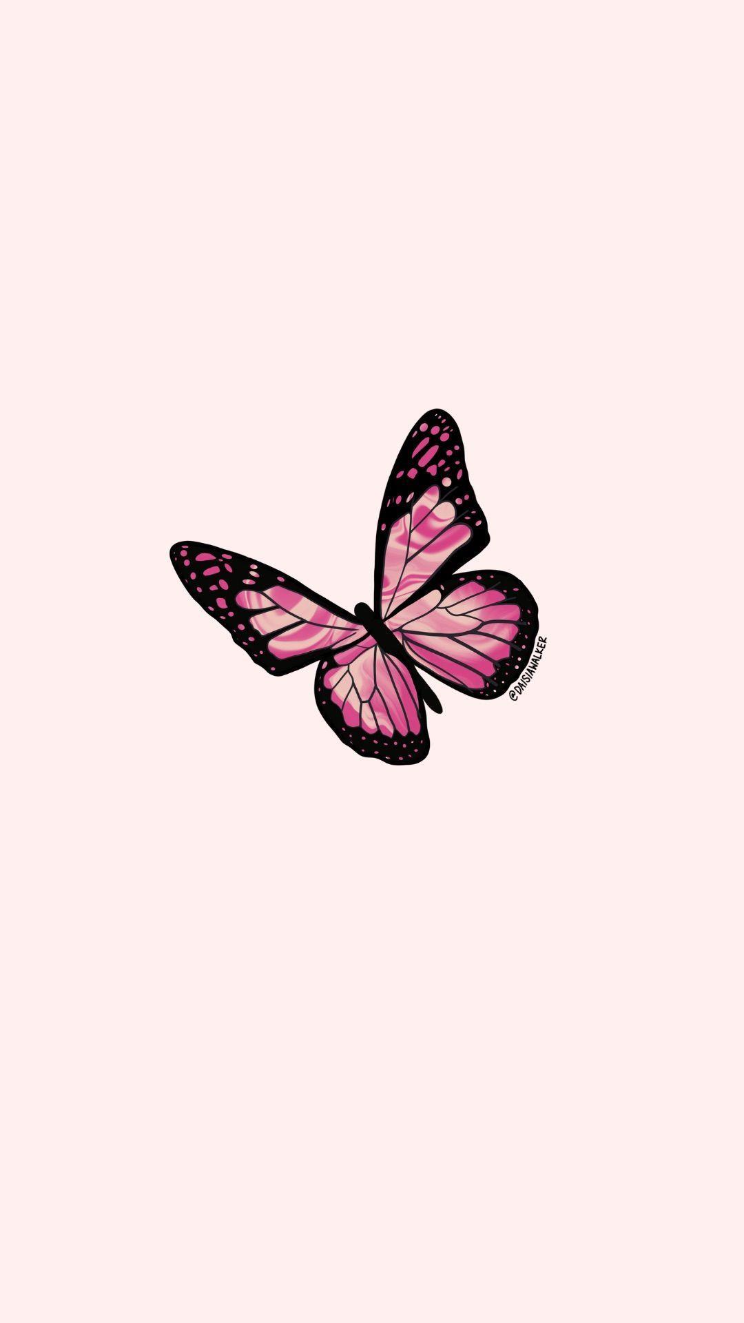 1080x1920 Pink Butterfly.  Hình nền màu hồng, Hình nền bướm iphone, Hình nền màu hồng iphone