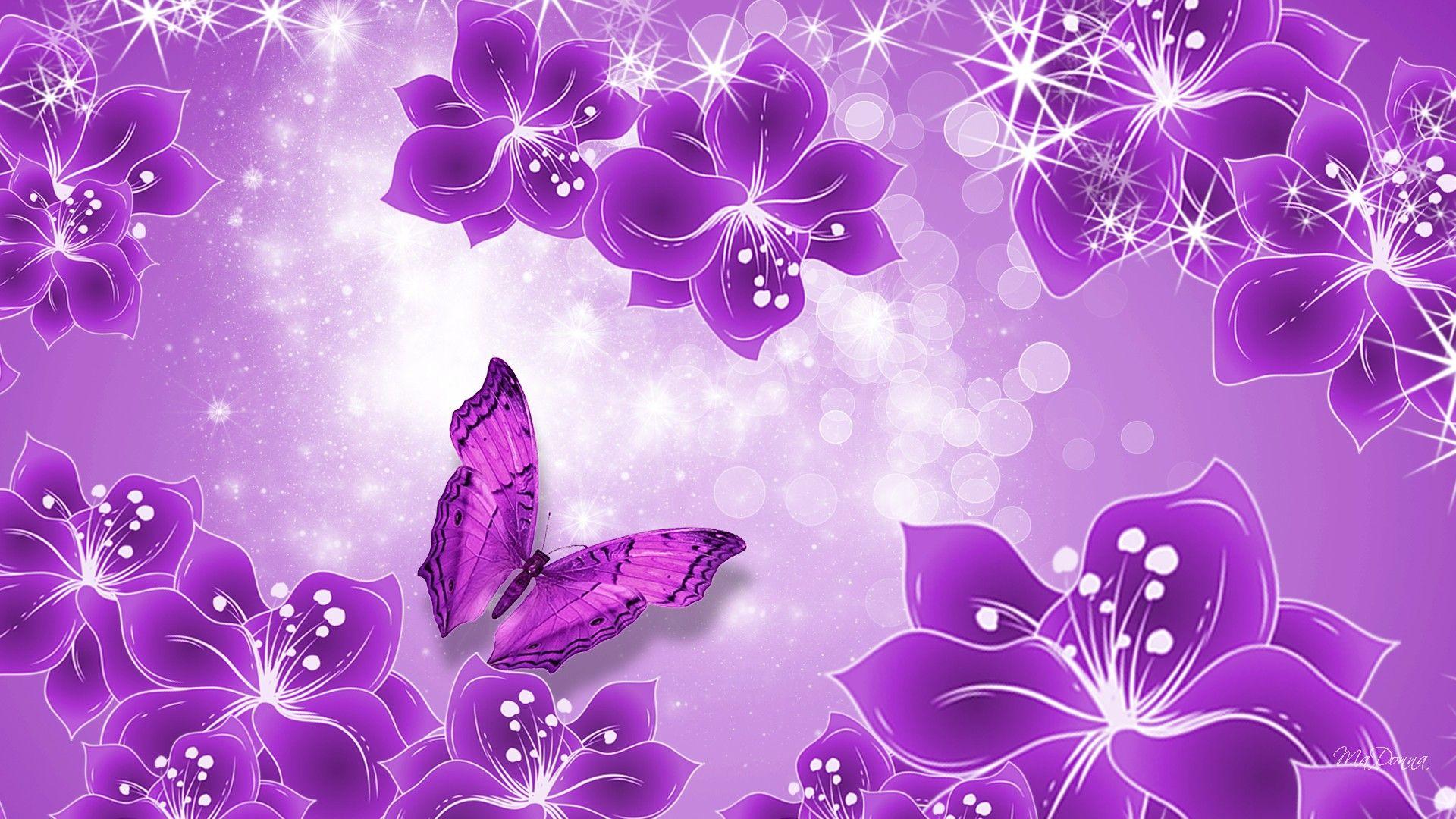 1920x1080 Hình nền con bướm hồng và tím trên https://wallpaperaccess.com/full/5214065.jpg