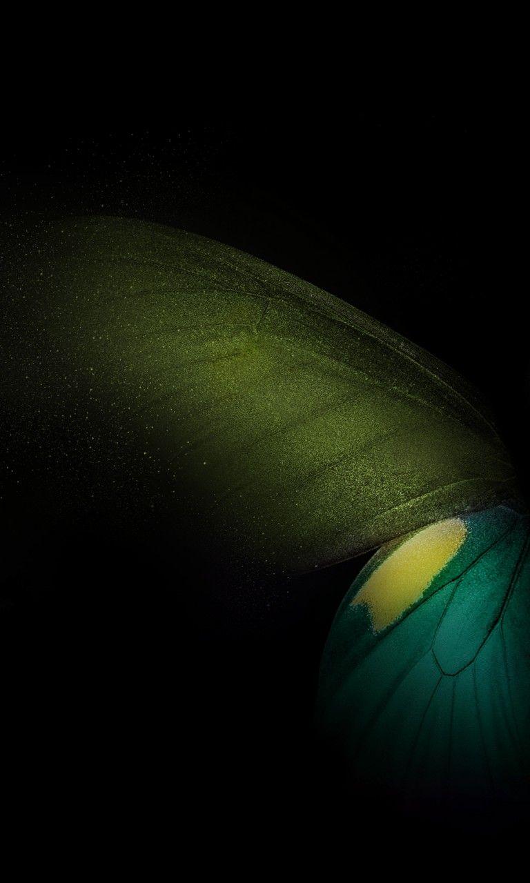 768x1280 Samsung Galaxy Fold Butterfly Stock .hdwallpaper.in