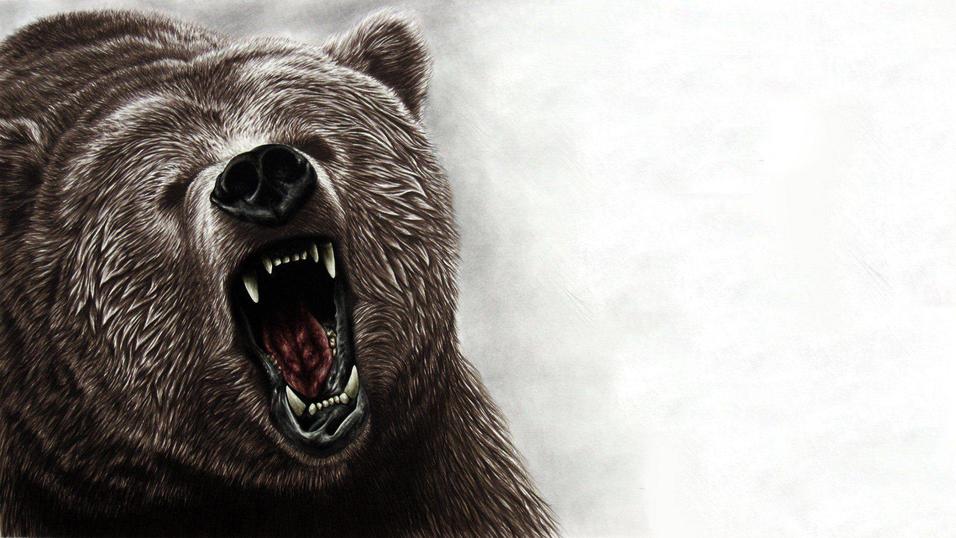 Bear Art Wallpapers - Top Free Bear Art Backgrounds - WallpaperAccess
