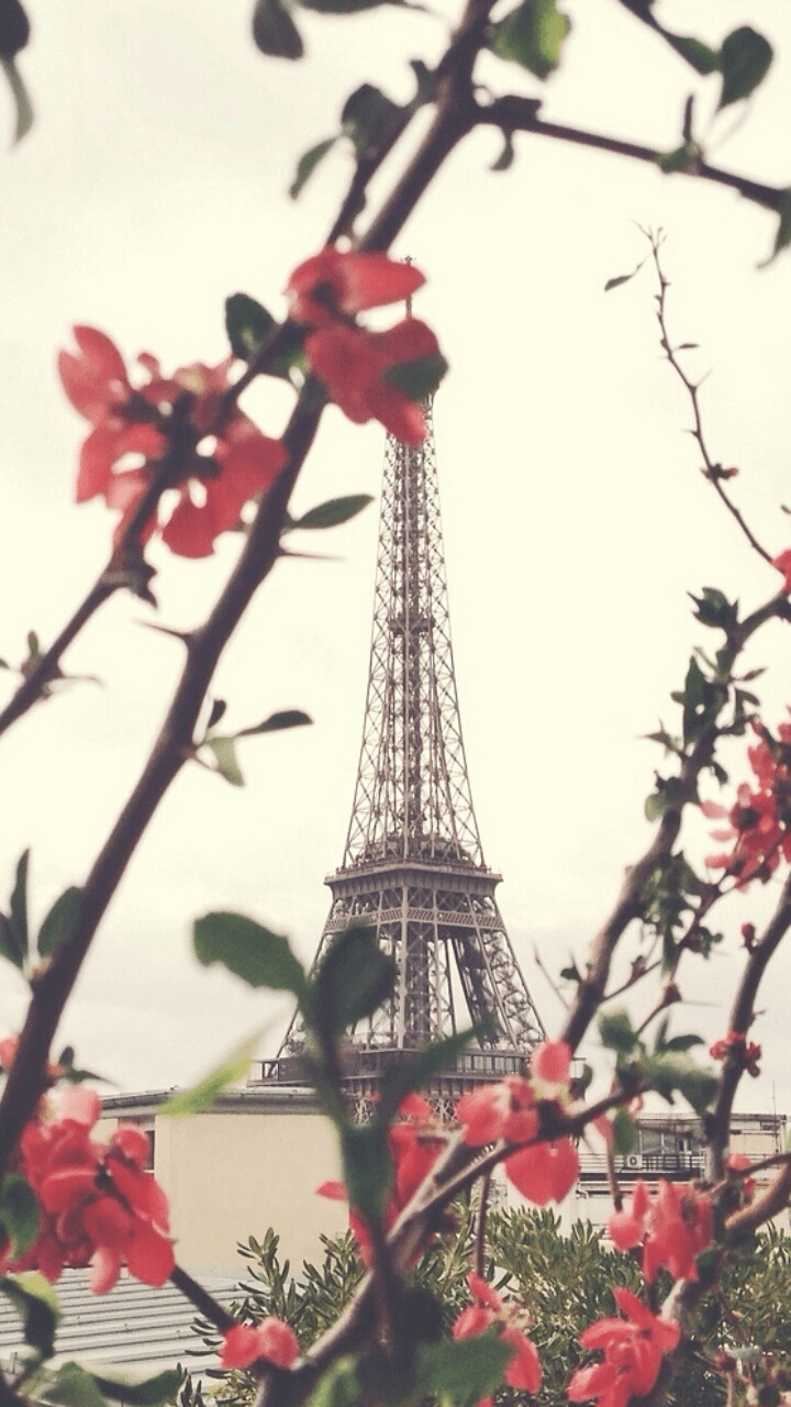 720x1280 good morning in france