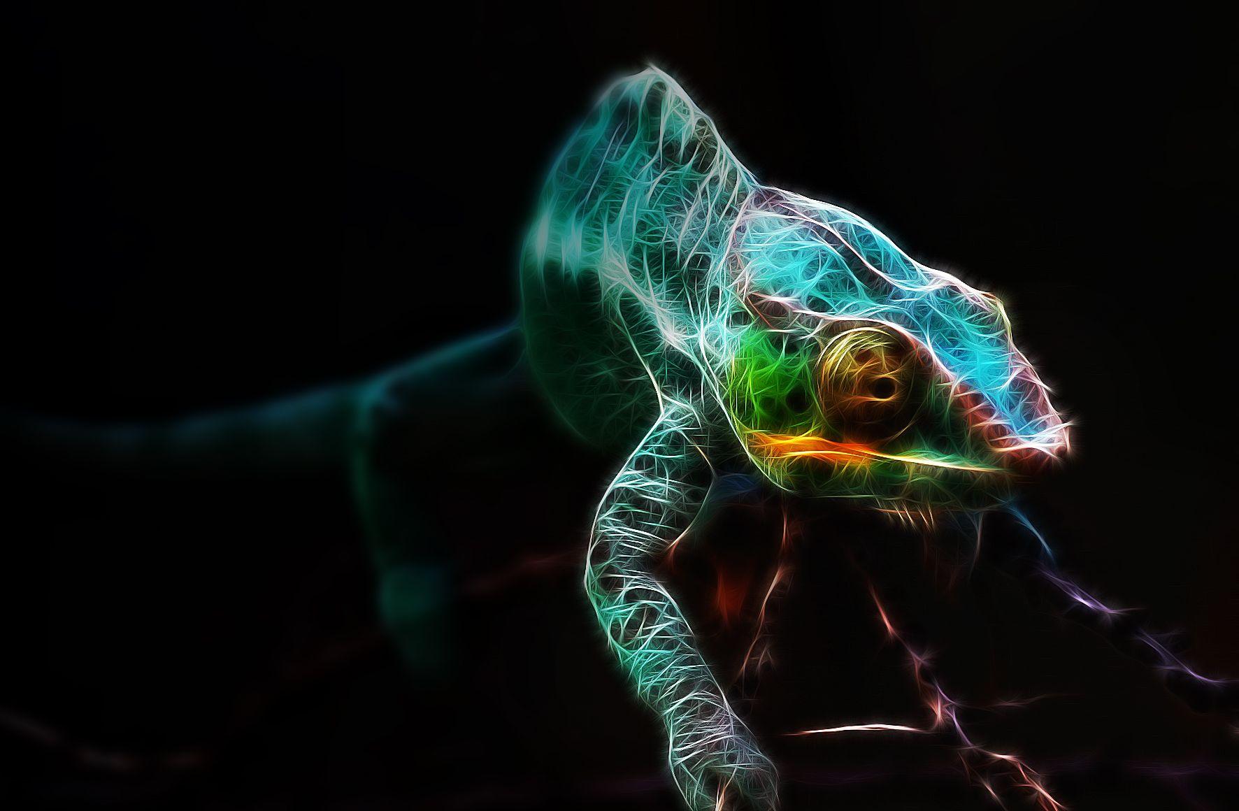 1772x1160 Cute Chameleon Wallpaper .
