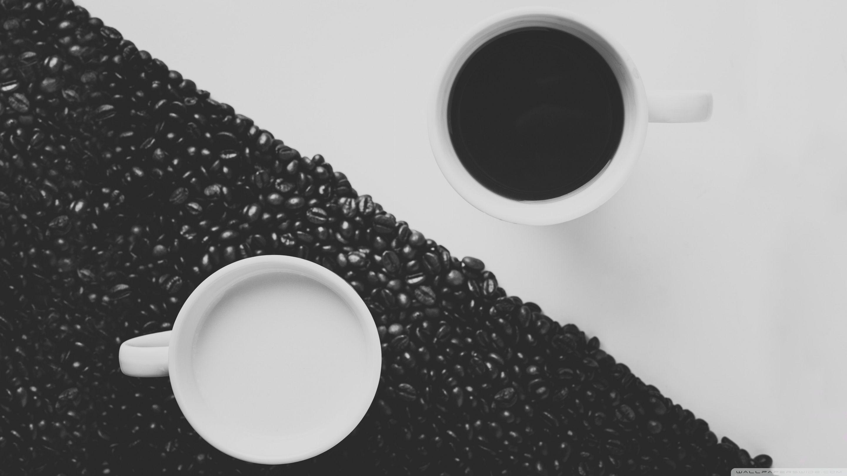 2880x1620 Milk and Coffee Ultra HD Desktop .