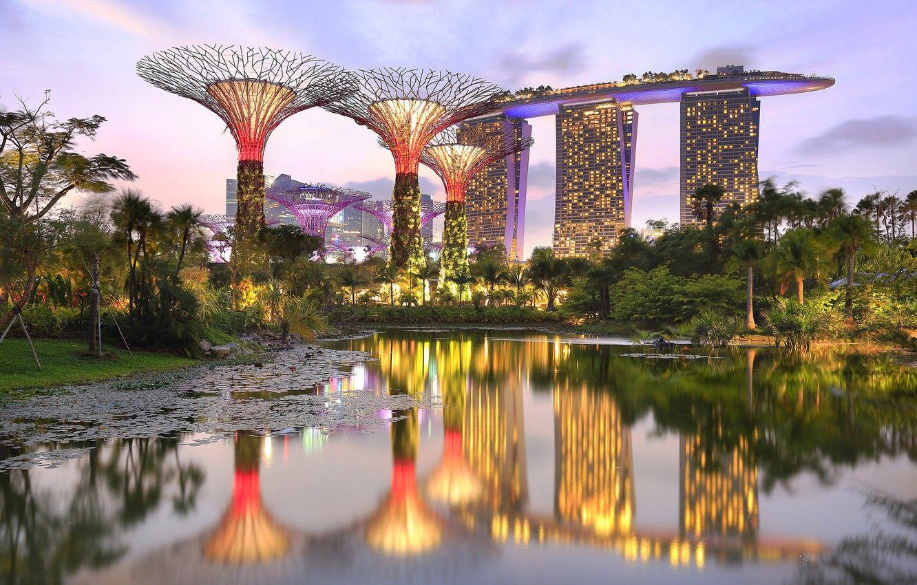 1332x850 Wallpaper pond, Park, Singapore, the hotel, Singapore, Marina Bay Sands, Gardens by the Bay, Parks image for desktop, section город