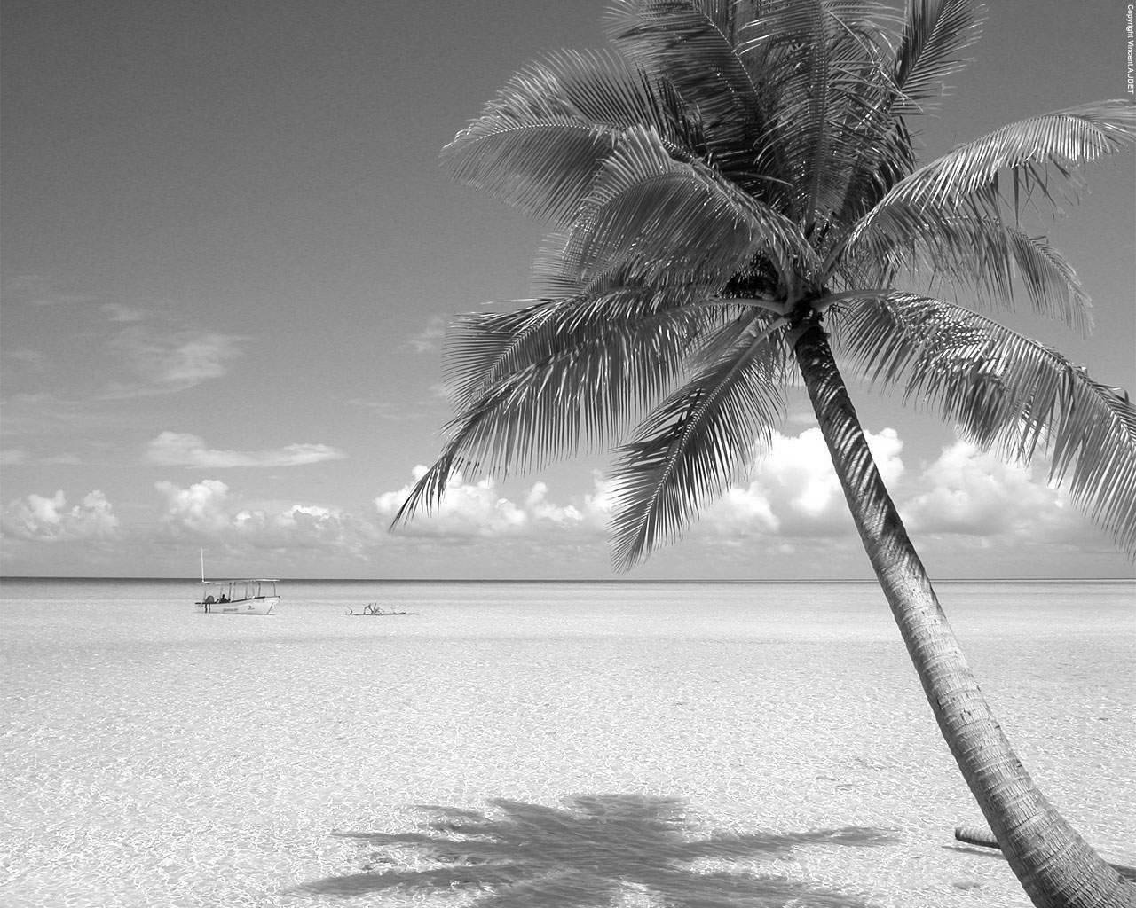 1280x1024 White Beach Landscape HD Wallpaper Packblackandwhitewalls.