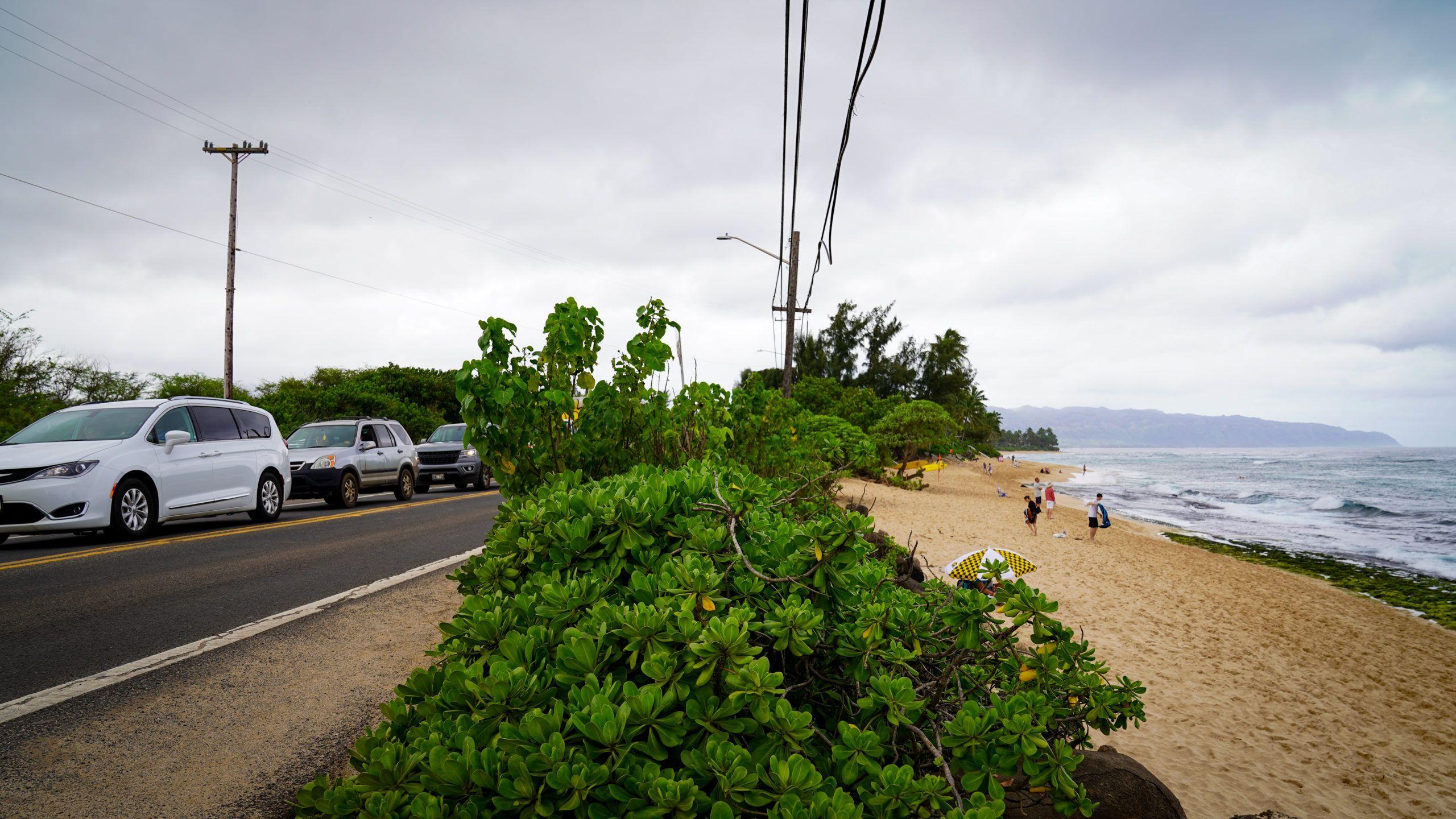 2560x1440 Realignment Of Highway At Laniakea .