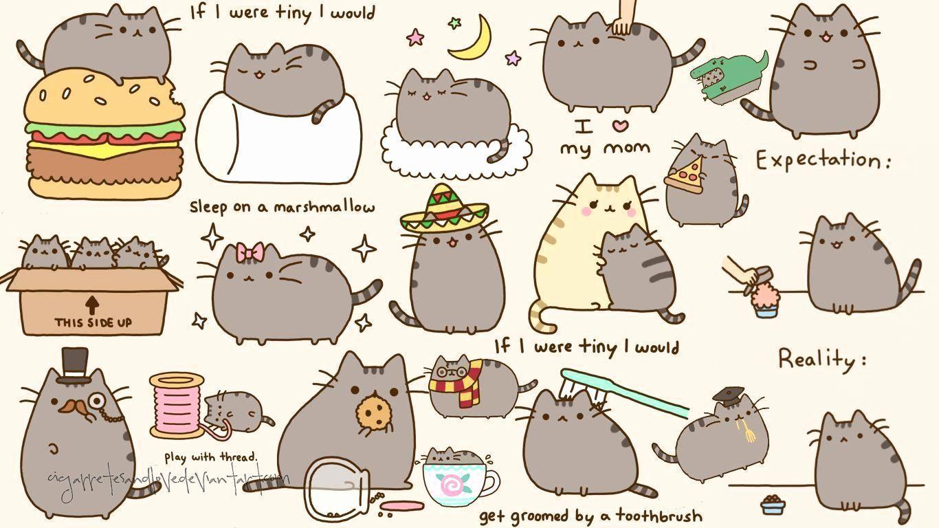 1366x768 Pusheen Desktop Wallpaper Awesome Kawaii Cat Wallpaper 2019 of The Hudson
