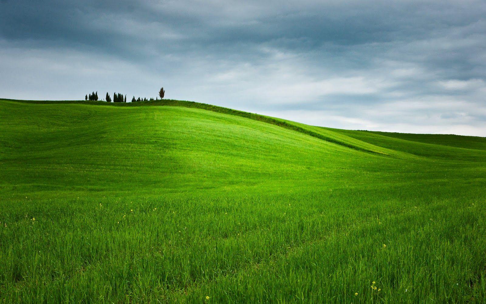 live nature wallpaper for windows 7