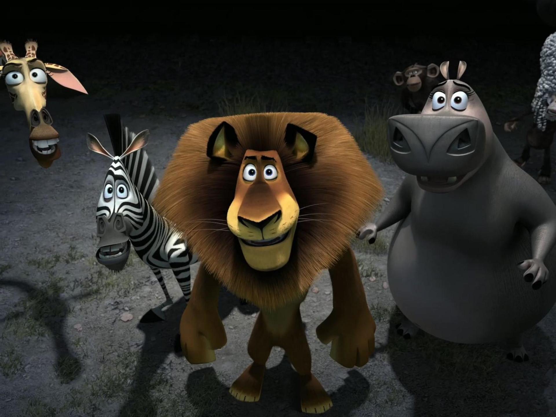 1920x1440 Funny Animals Animation 17 HD Wallpaper .