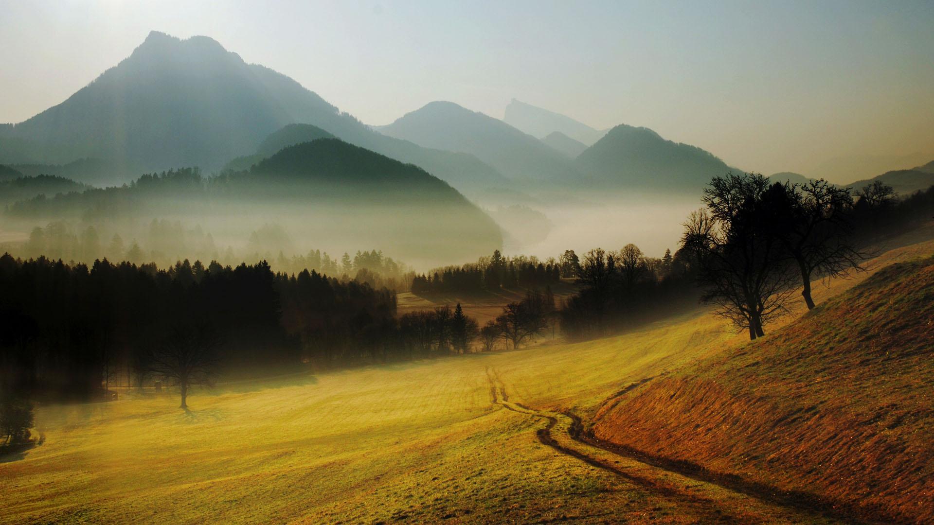1920x1080 Misty Morning wallpaperx1080 .