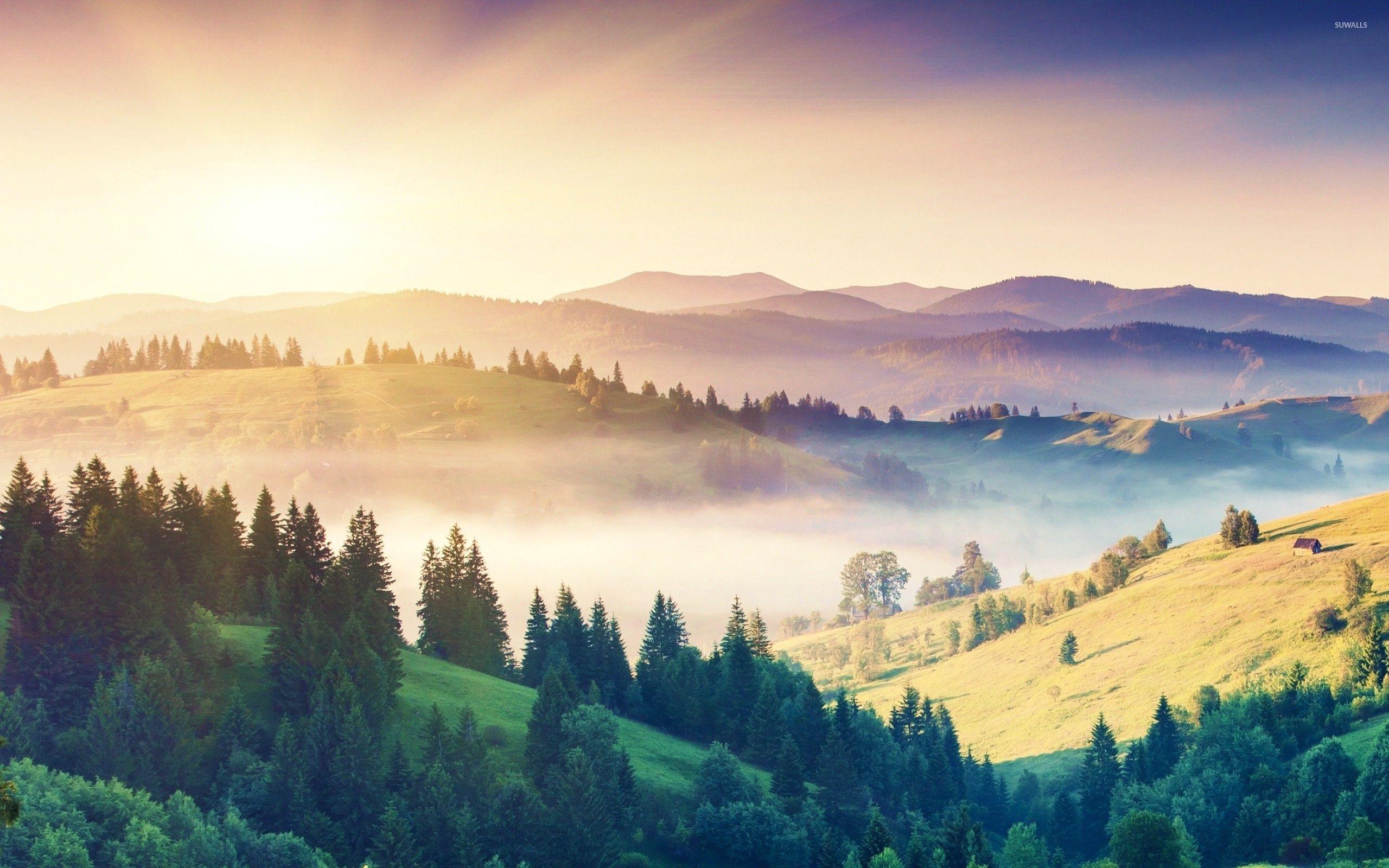 2560x1600 Misty morning in the hills wallpaper .