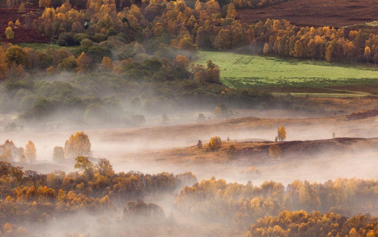 1280x804 Scottish Misty Morning wallpaper .