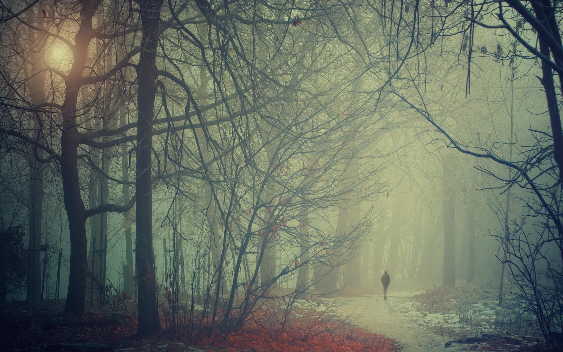 1920x1200 Misty Morning