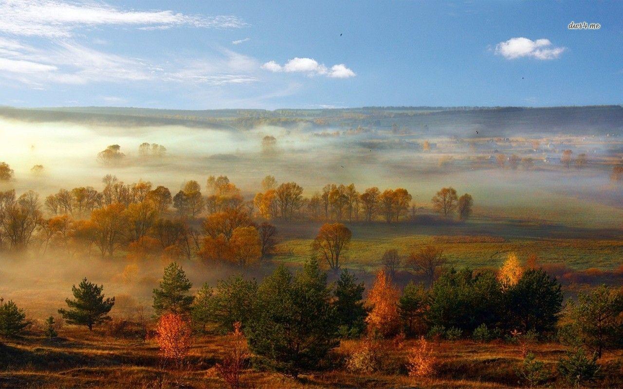 1280x800 Free download Misty morning wallpaper .