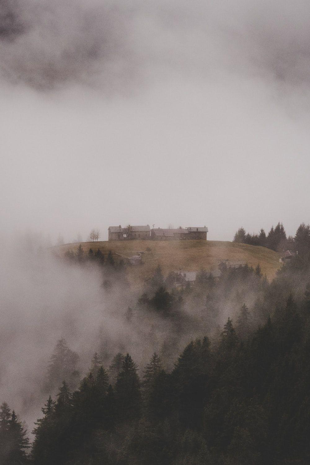 1000x1500 foggy morning photo