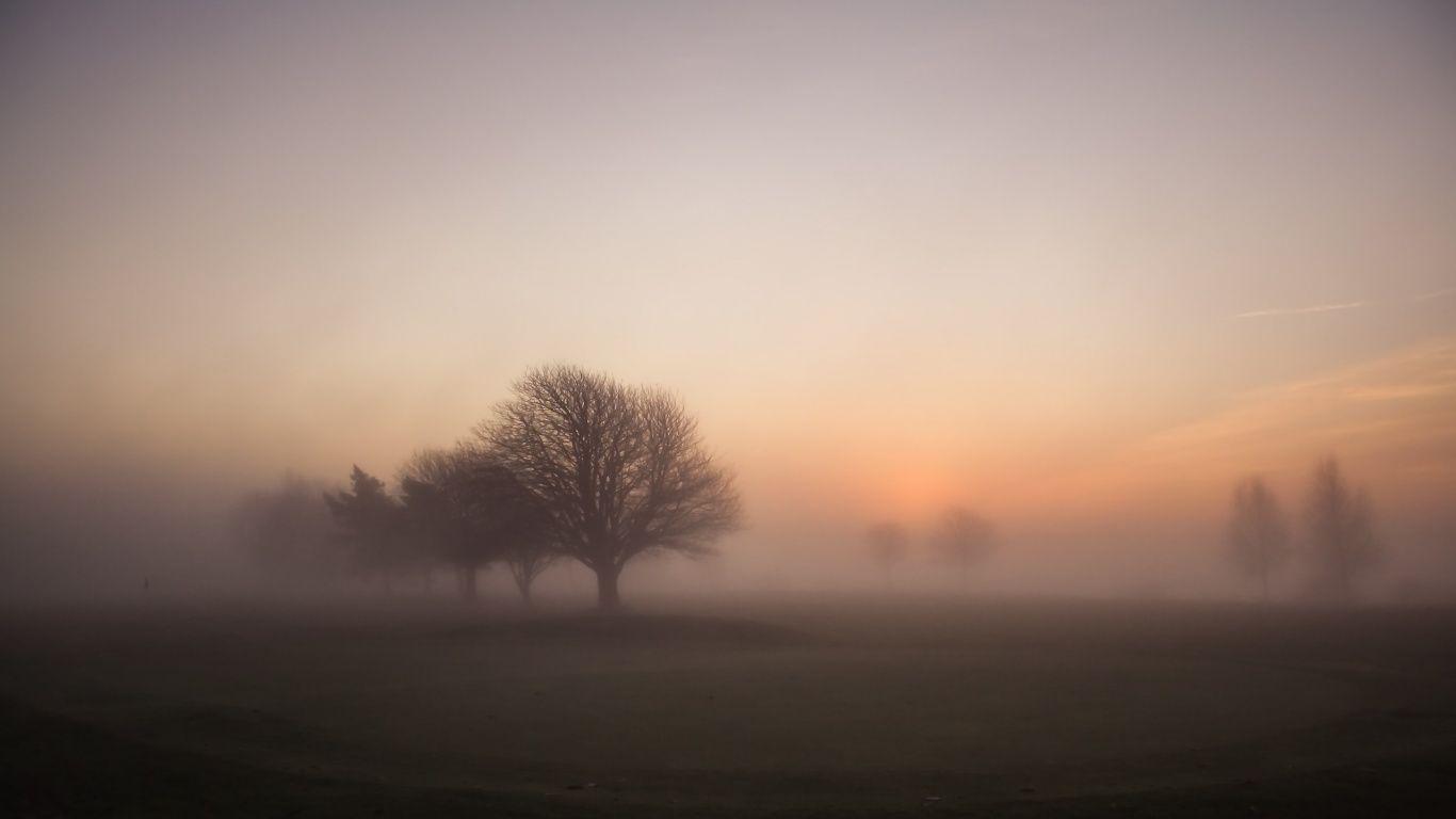 1366x768 Fogy Sunrise
