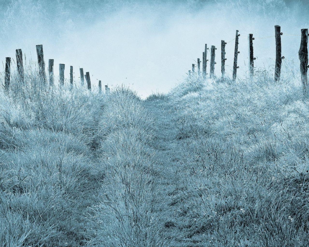 1280x1024 Free download Misty morning Desktop .