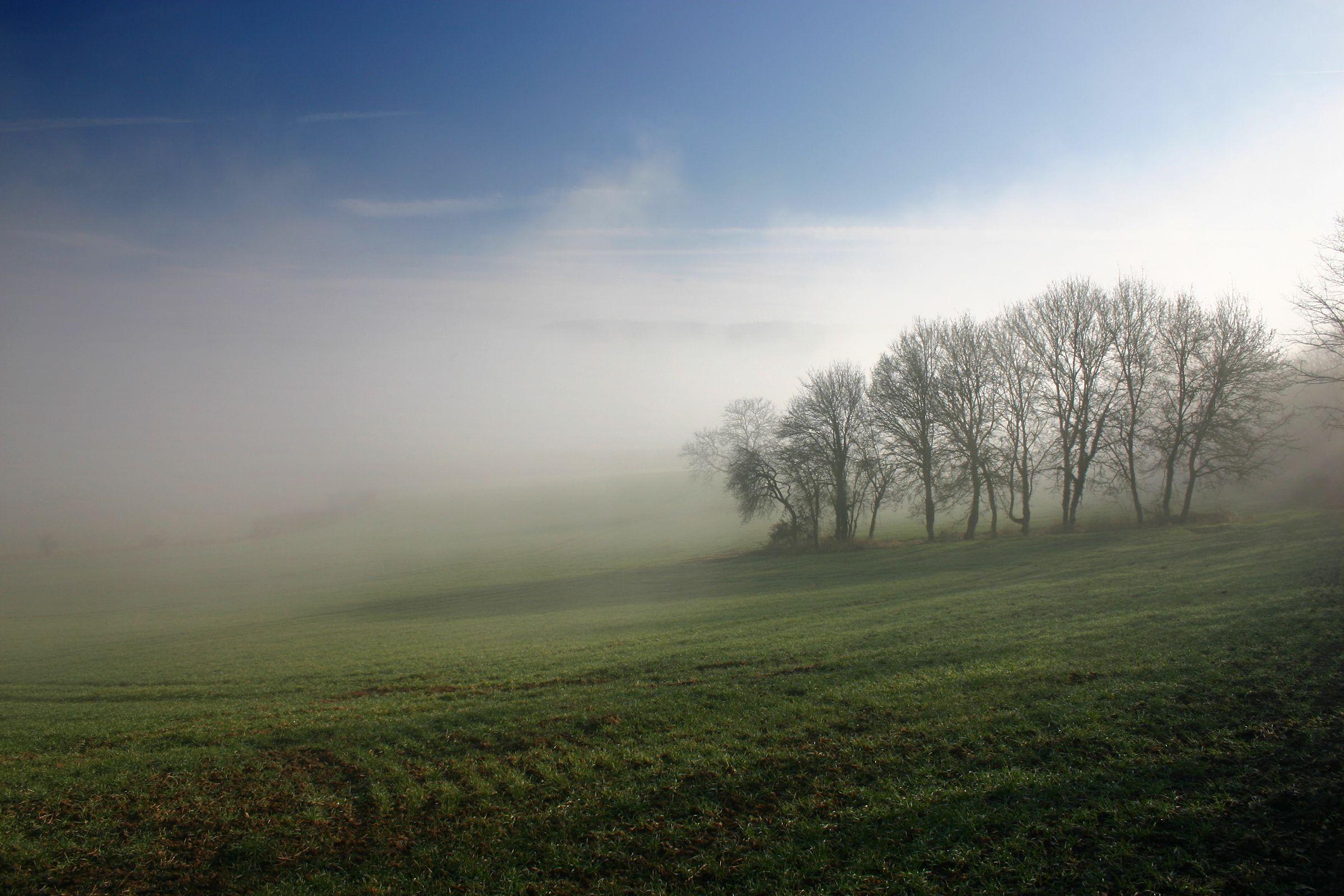 2400x1600 Fogs Misty Morning Nature HD Wallpaperwallpaper