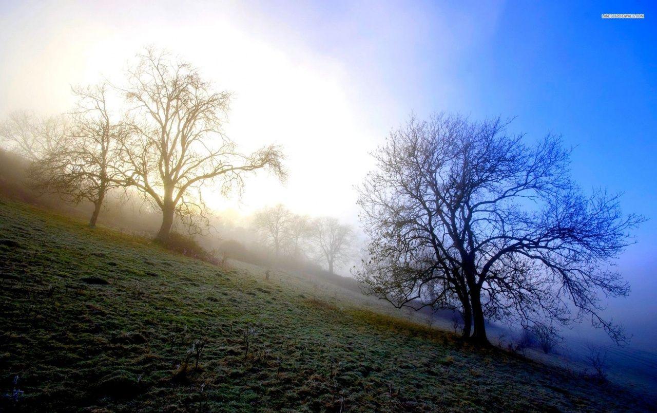 1280x804 Misty Morning Hills Trees wallpaper .