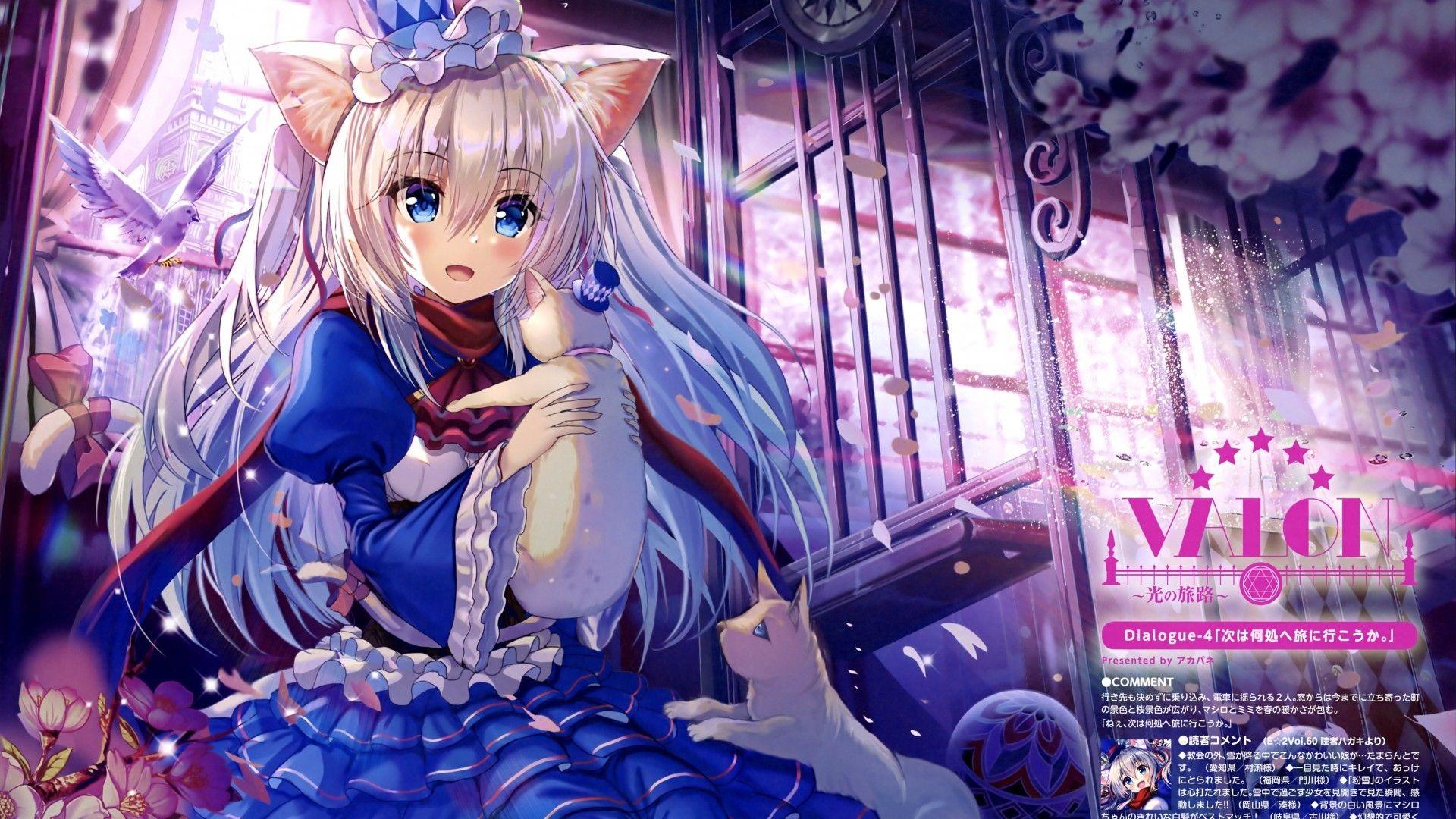 1920x1080 Cute Cat Dressed Wallpaper .