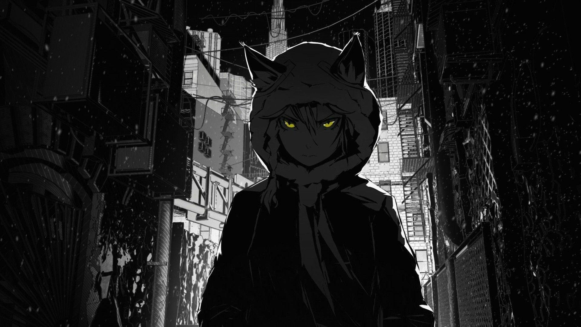 1920x1080 Anime Cat Wallpaper 1920x1080 Gambarku.