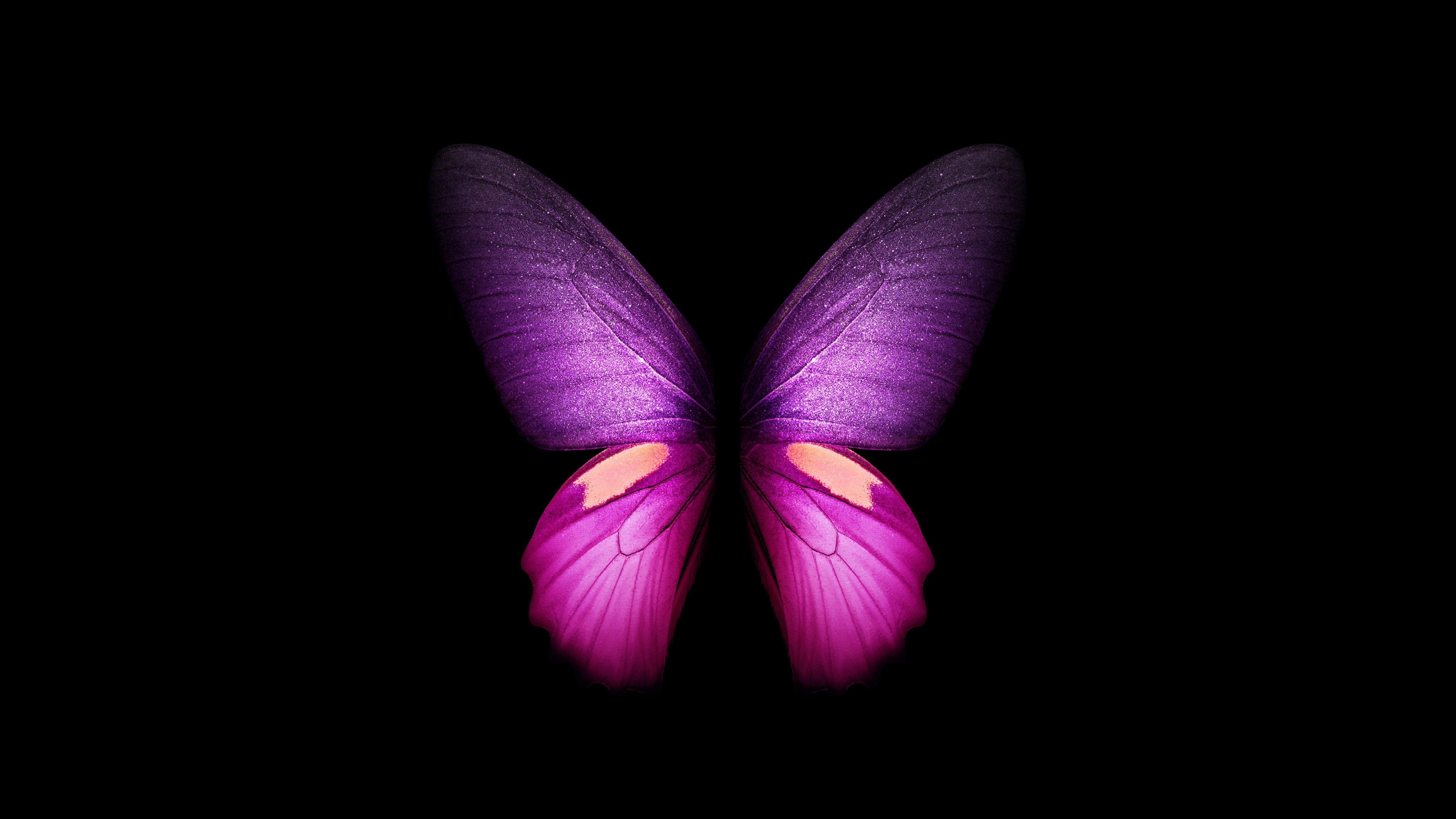 5120x2880 Purple Butterfly Wallpaper 4K, Wings, Black background, Graphics CGI