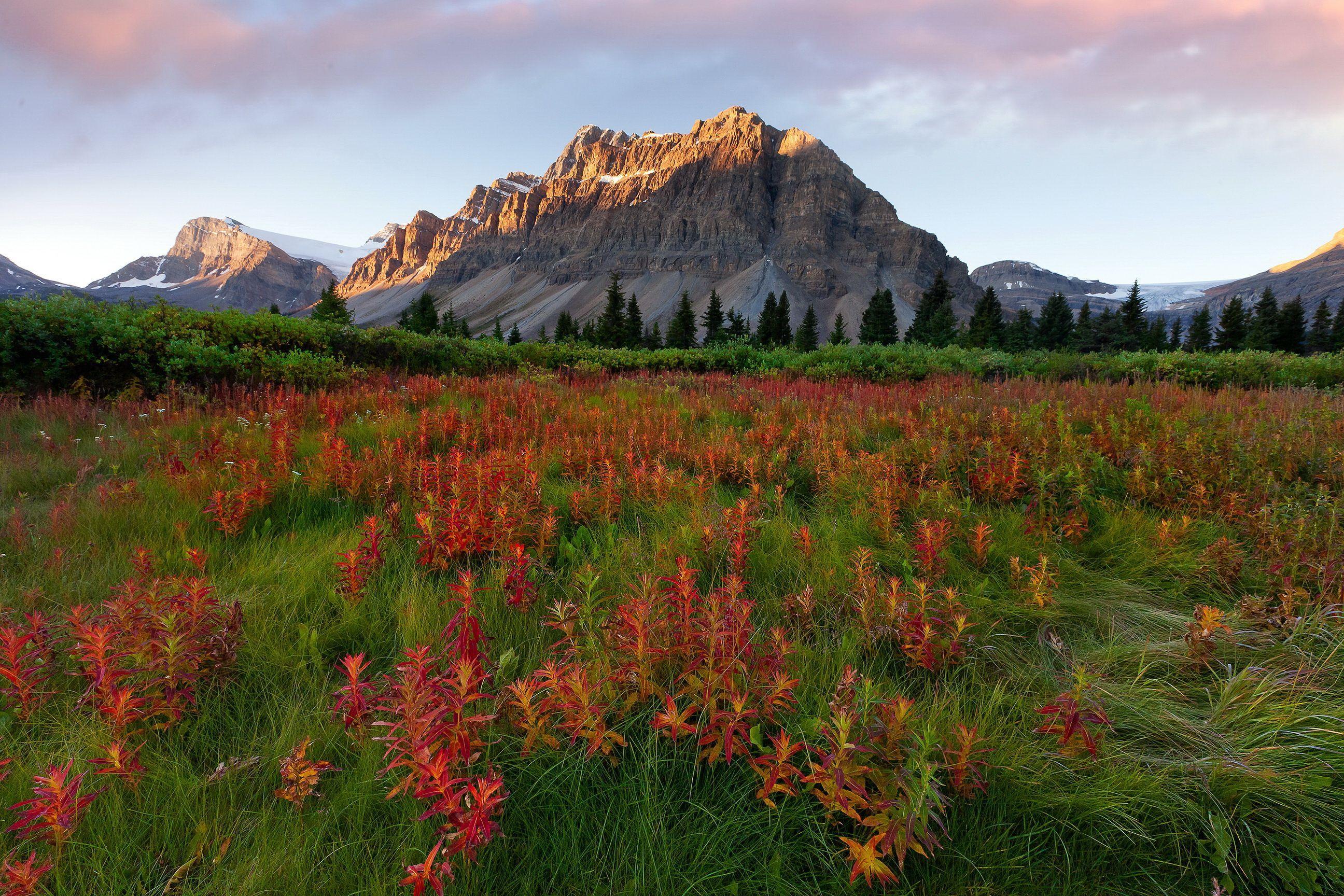 2592x1728 Mountains Scenery Glacier Montana Grass .com