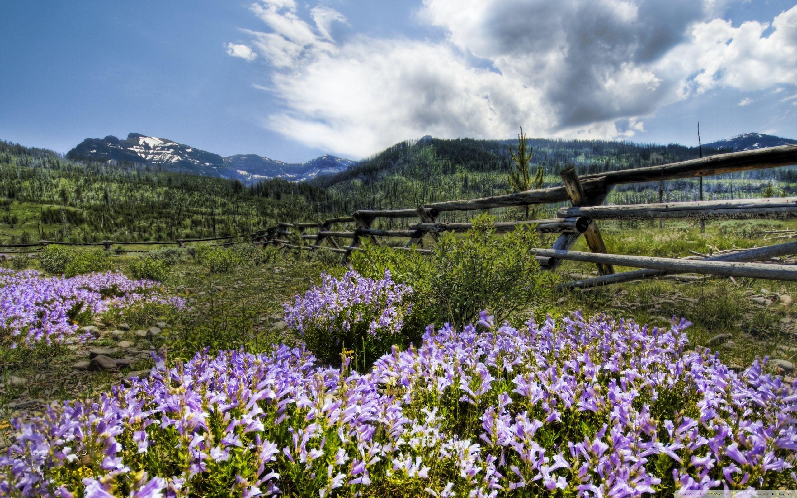 2560x1600 Montana Desktop