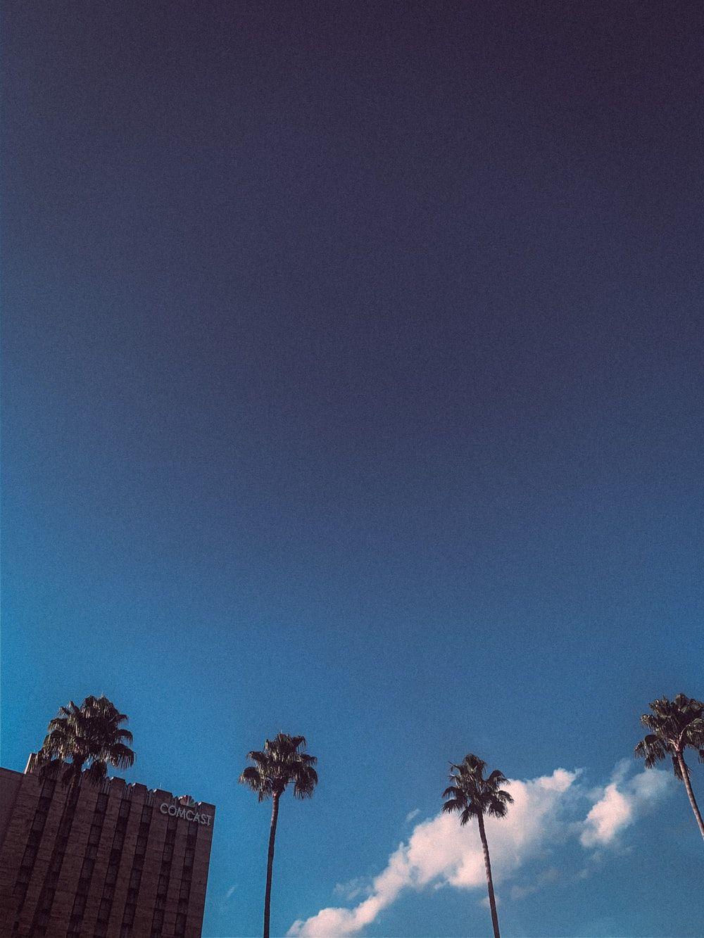 1000x1333 Orlando Florida Picture .com