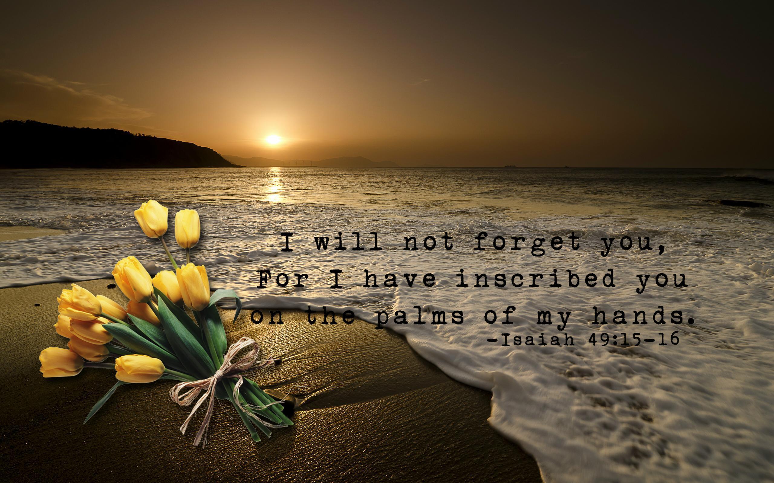 2560x1600 Scripture Wallpaper Download Free .