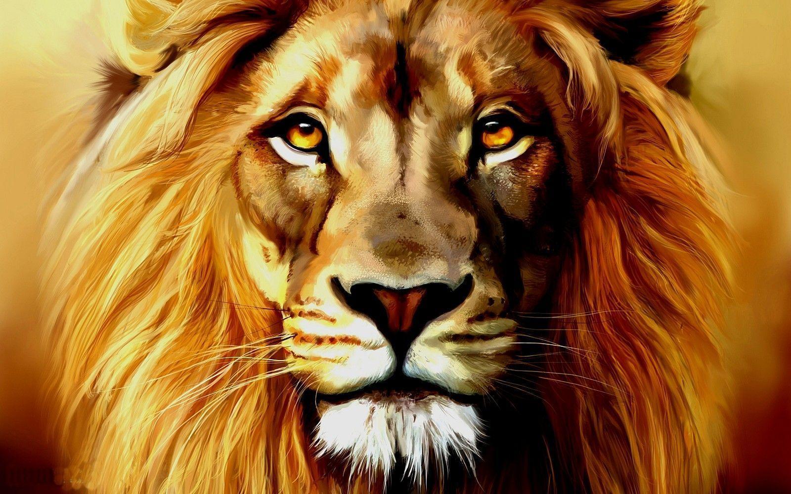 1600x1000 Lion Face Wallpaper
