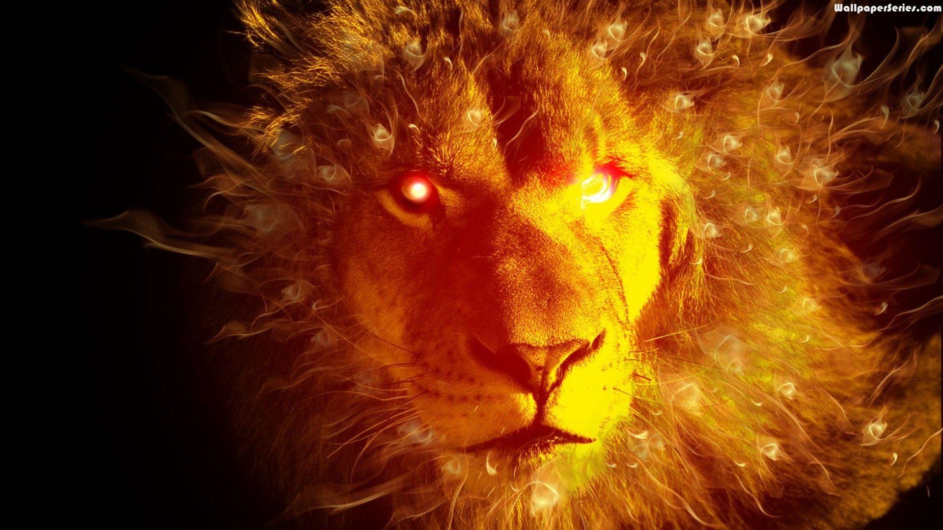 1920x1080 1920x Fire Lion Face Wallpaper .