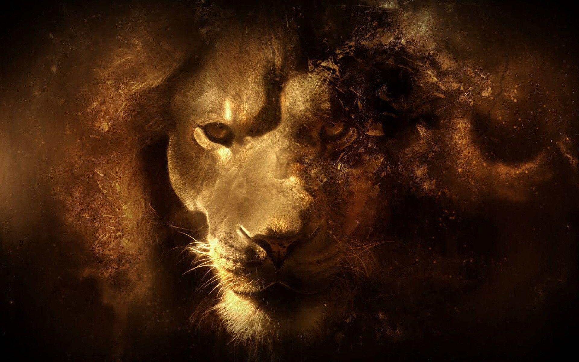 1920x1200 Lion Wallpaper Face Background .